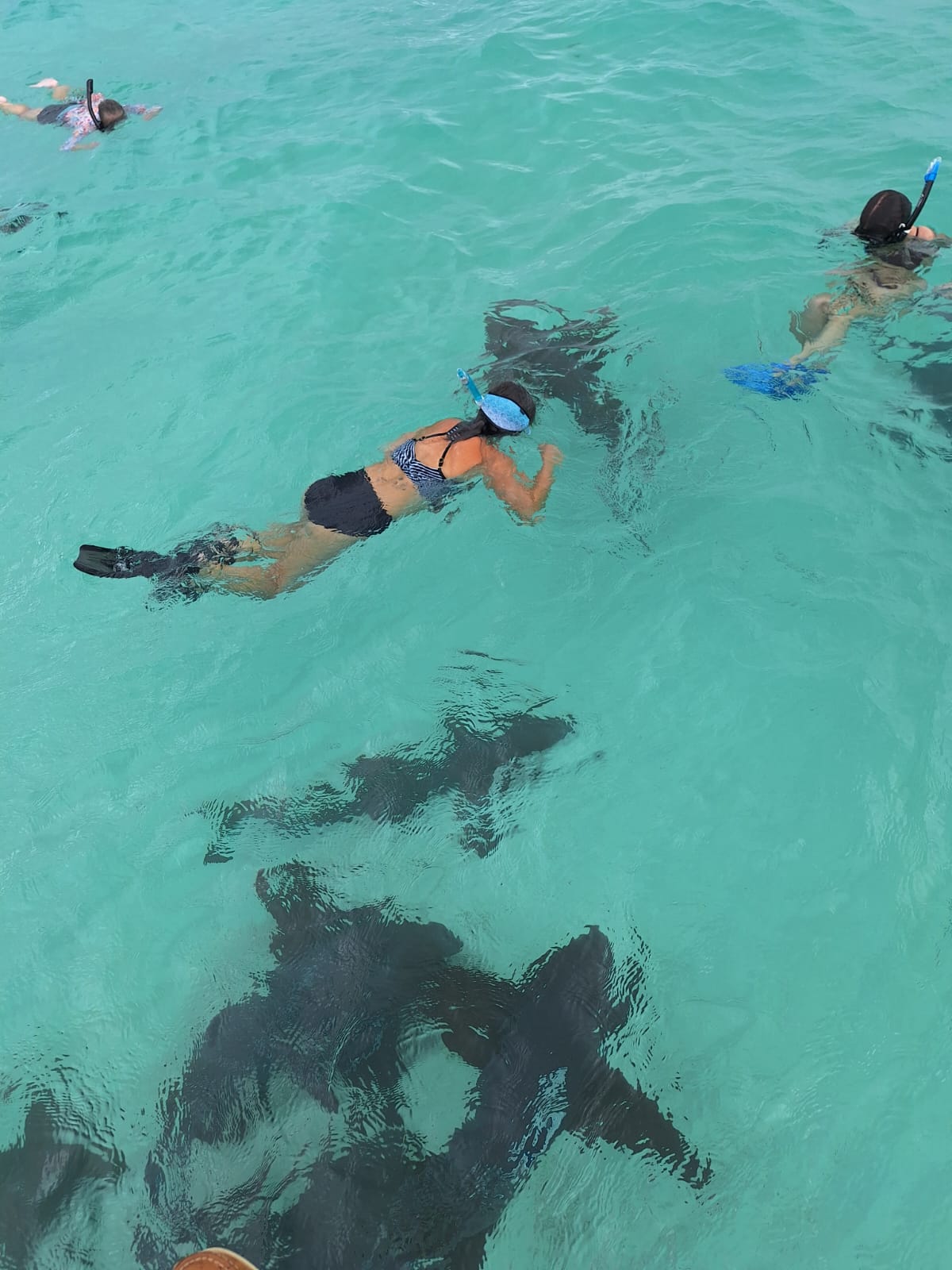 Snorkeling Adventures